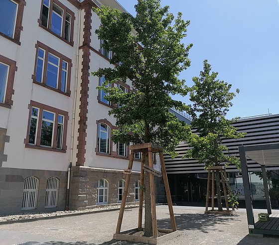 Kastanienhof